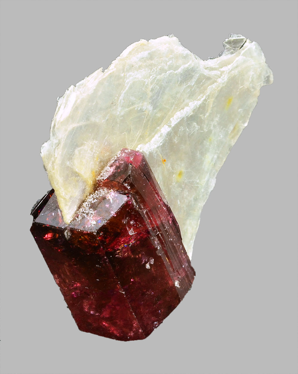 Liddicoatite