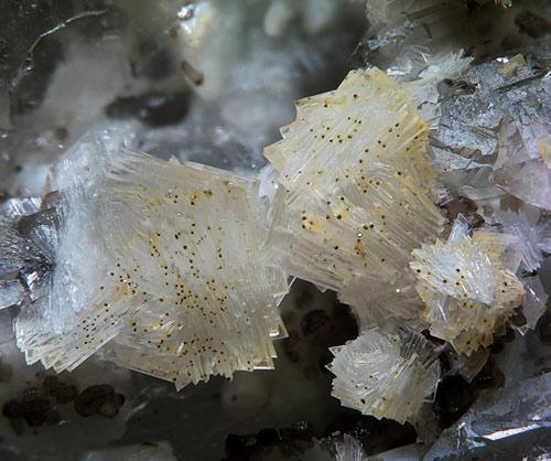 Bavenite