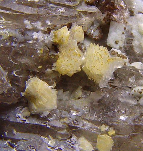 Bavenite