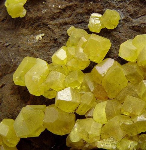 Native Sulphur