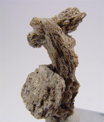 Newberyite