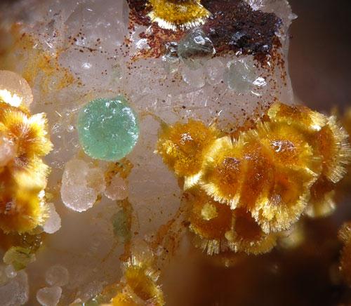 Aluminian Strengite Cacoxenite & Chalcosiderite