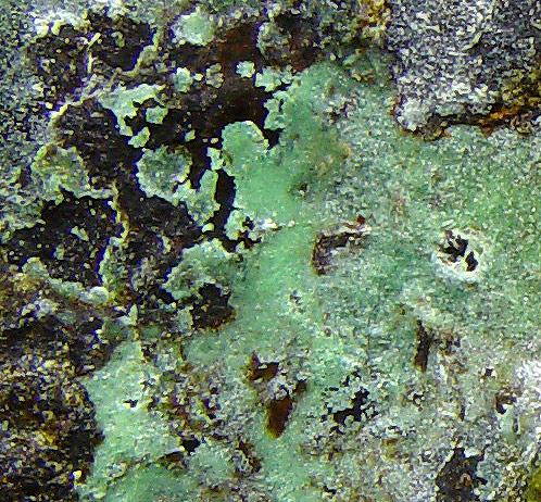 Annabergite