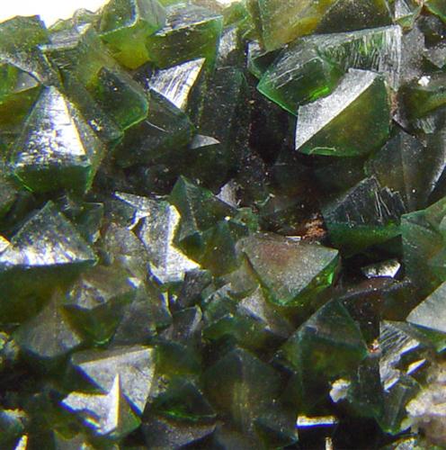 Cuprian Adamite
