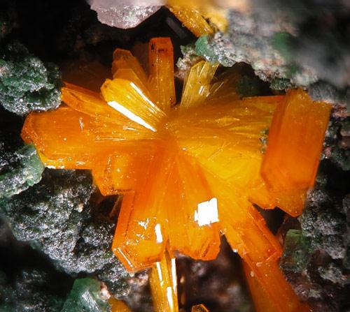 Kasolite