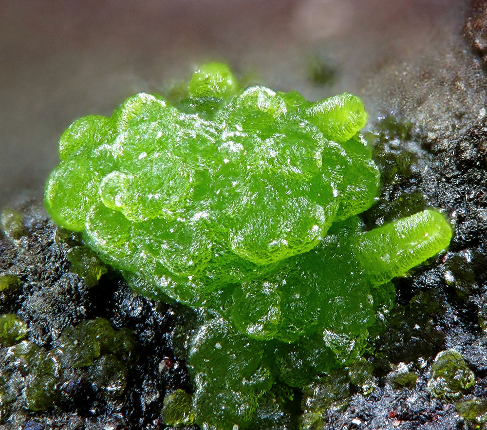 Emmonsite