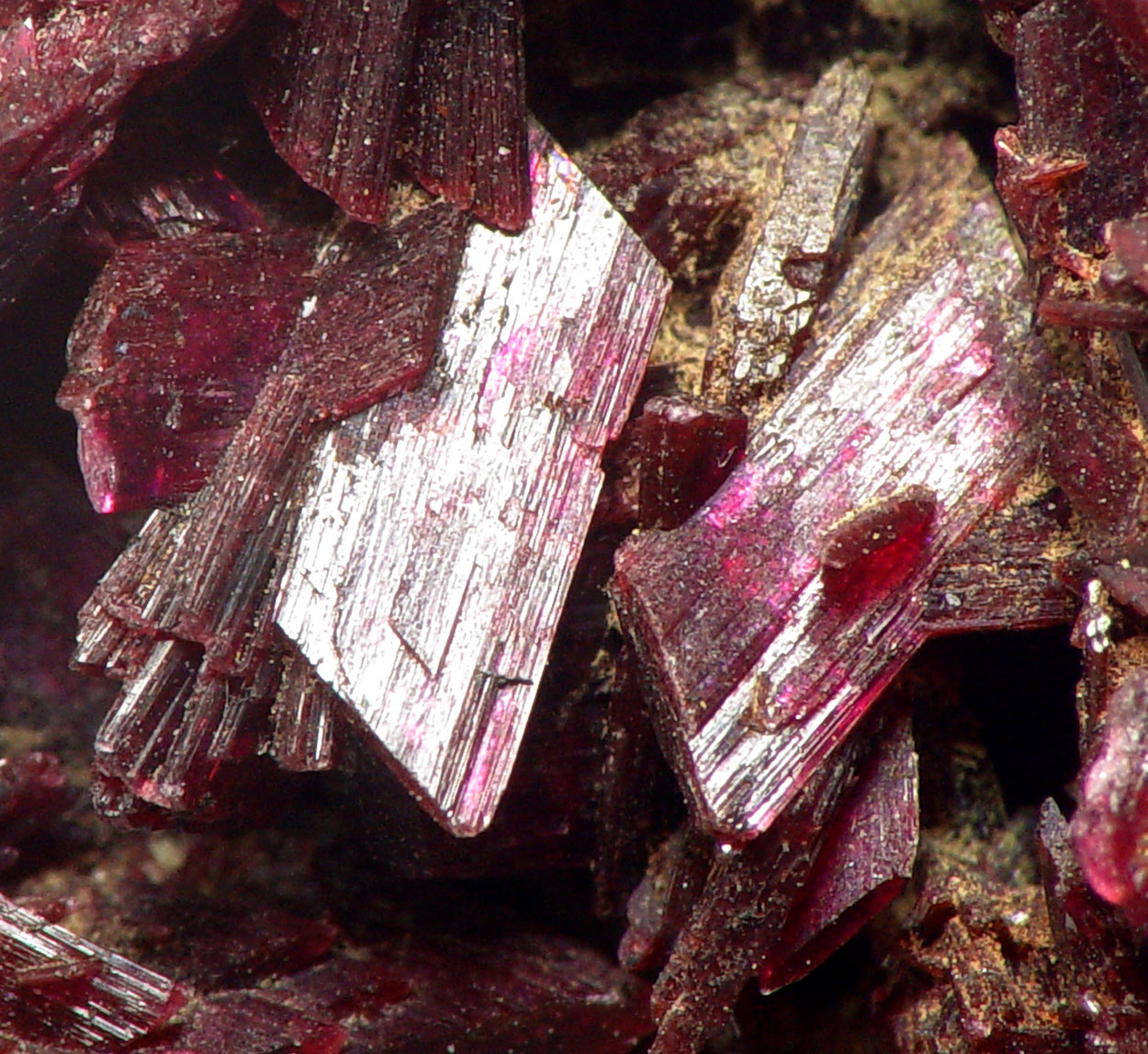 Erythrite