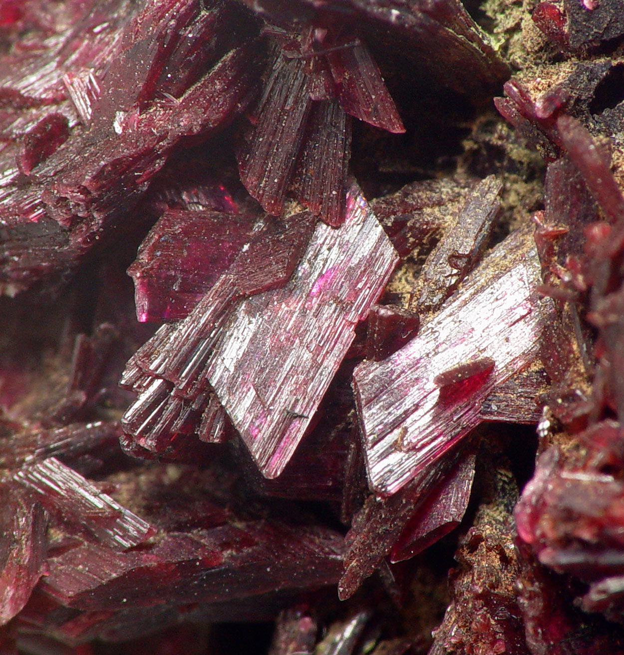 Erythrite