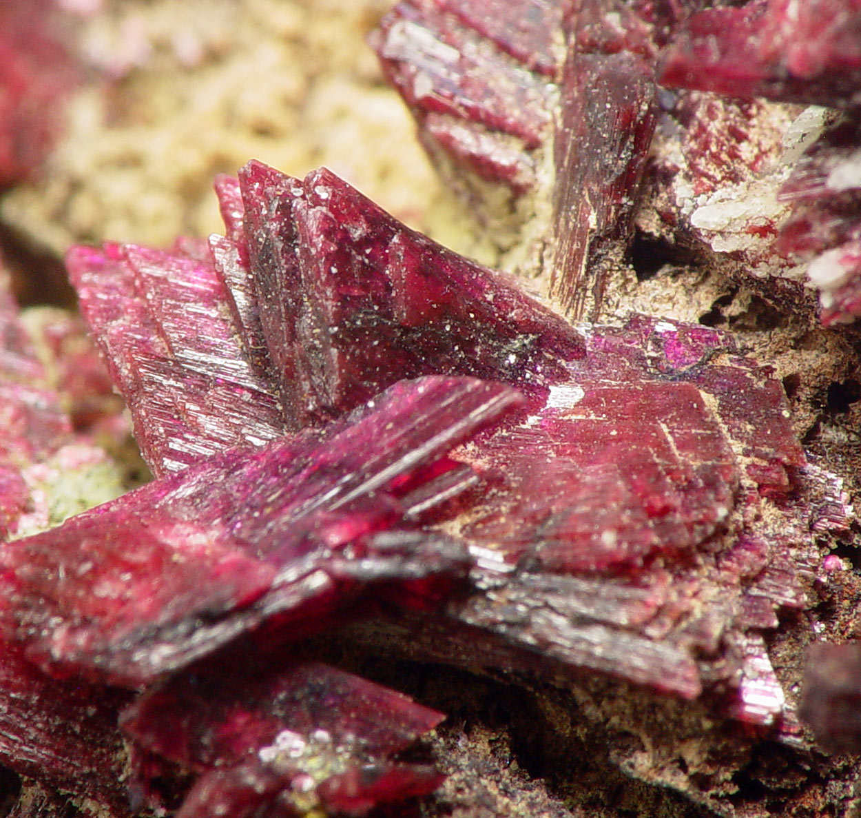 Erythrite