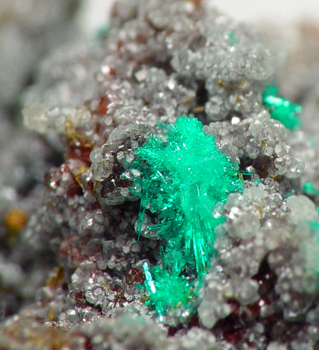 Macquartite & Dioptase