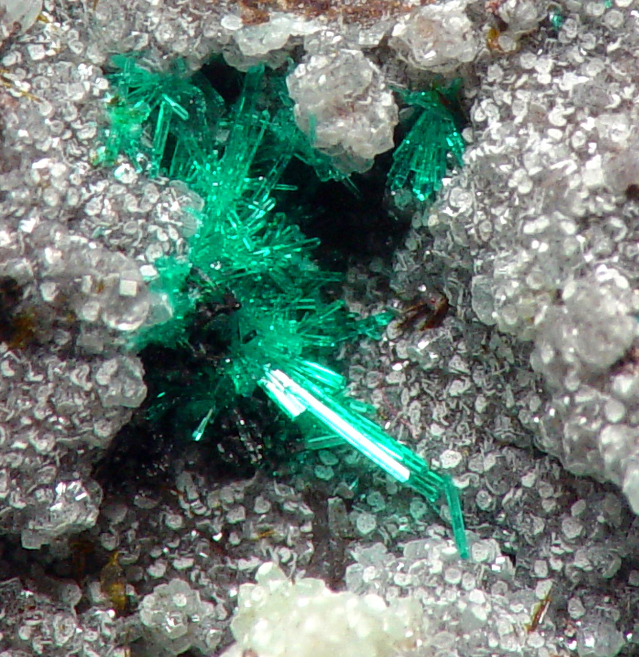 Macquartite & Dioptase