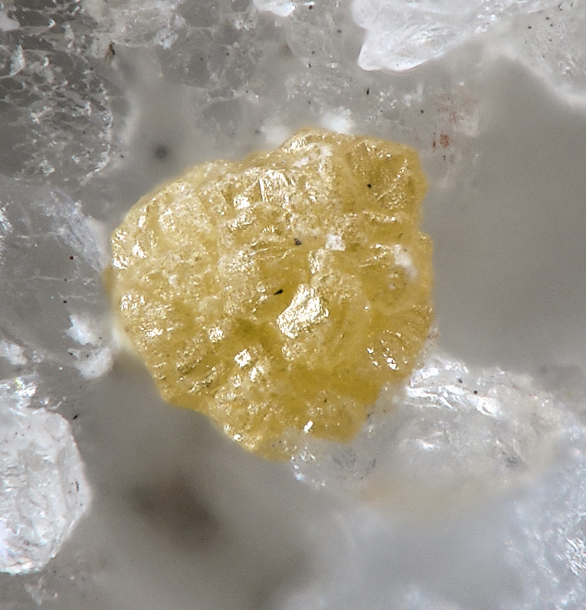 Atelestite