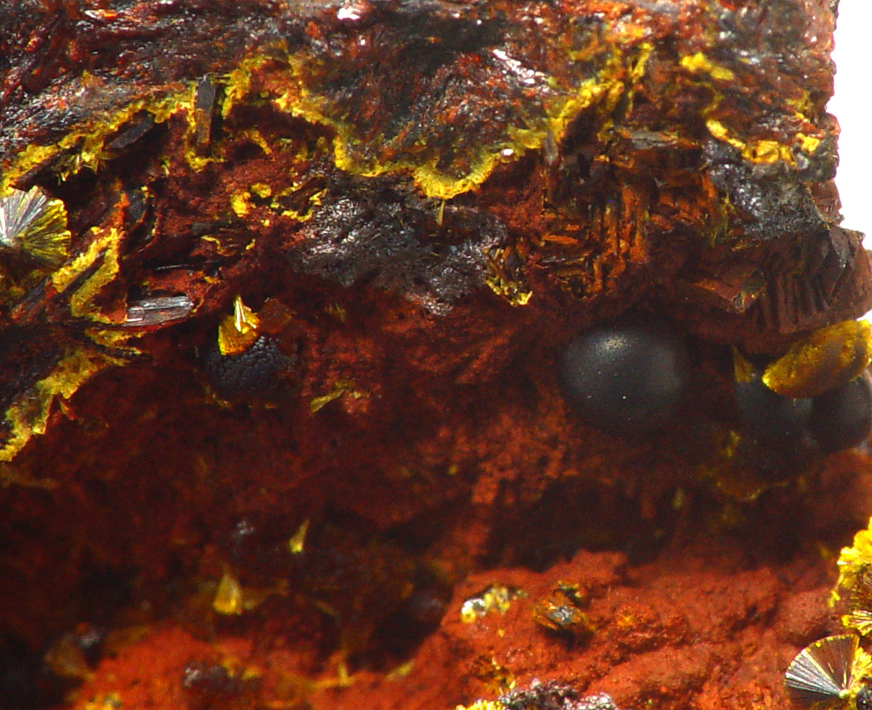 Eleonorite & Cacoxenite