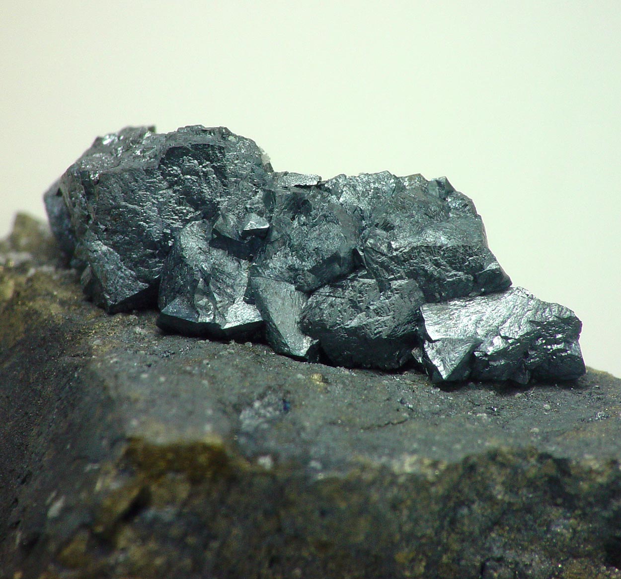 Djurleite