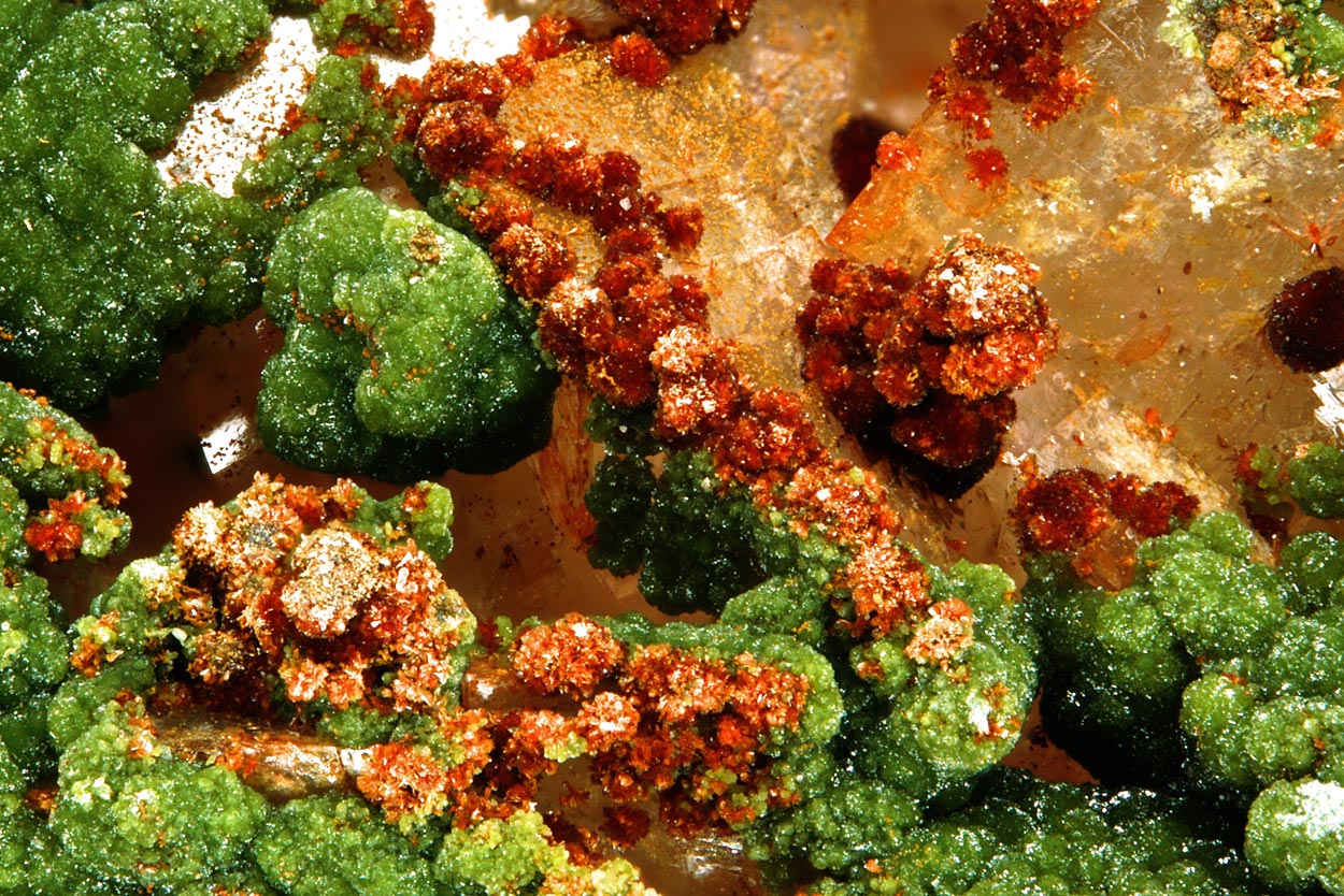 Cobaltaustinite Roselite & Cobaltlotharmeyerite