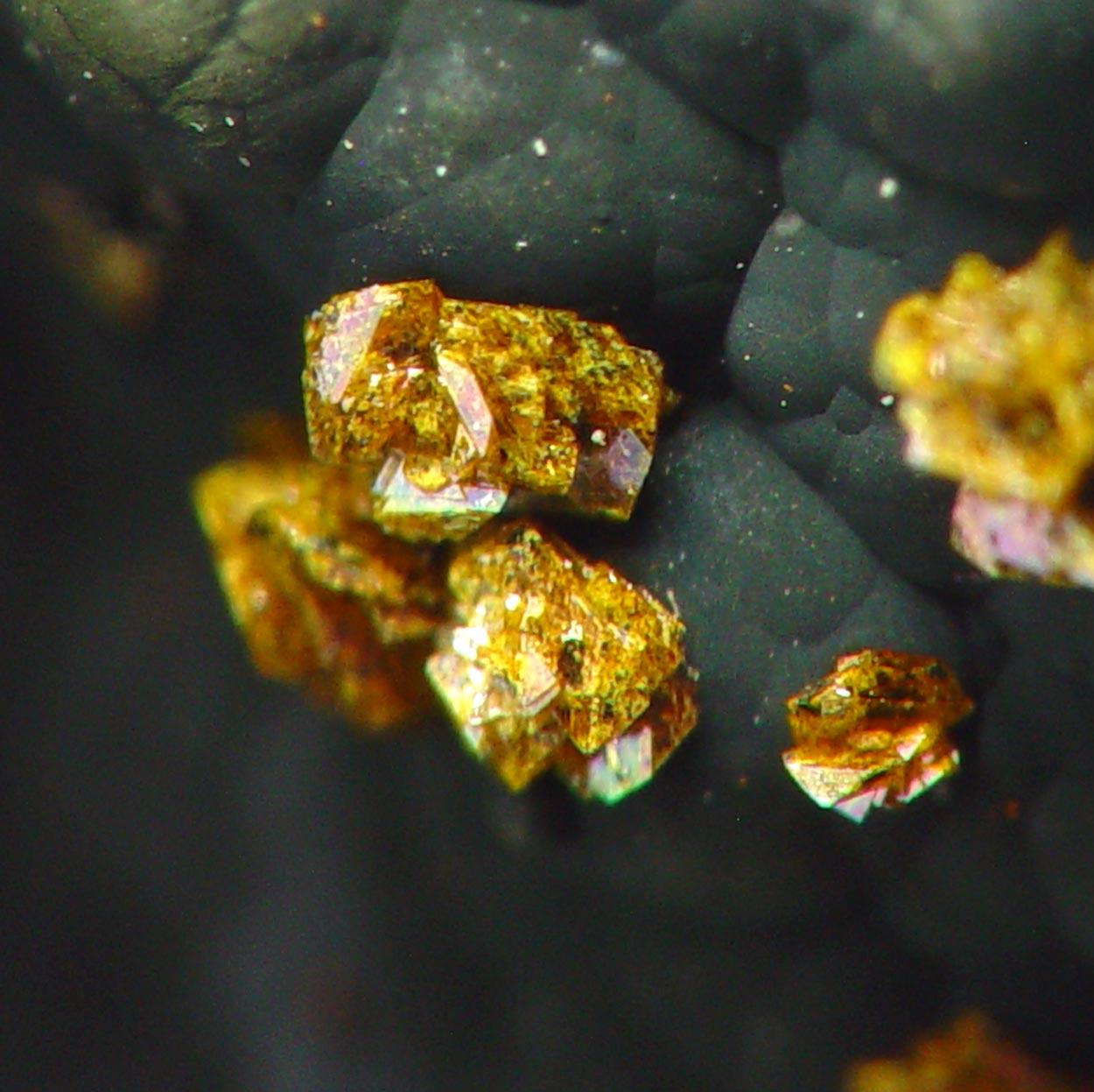 Corkite