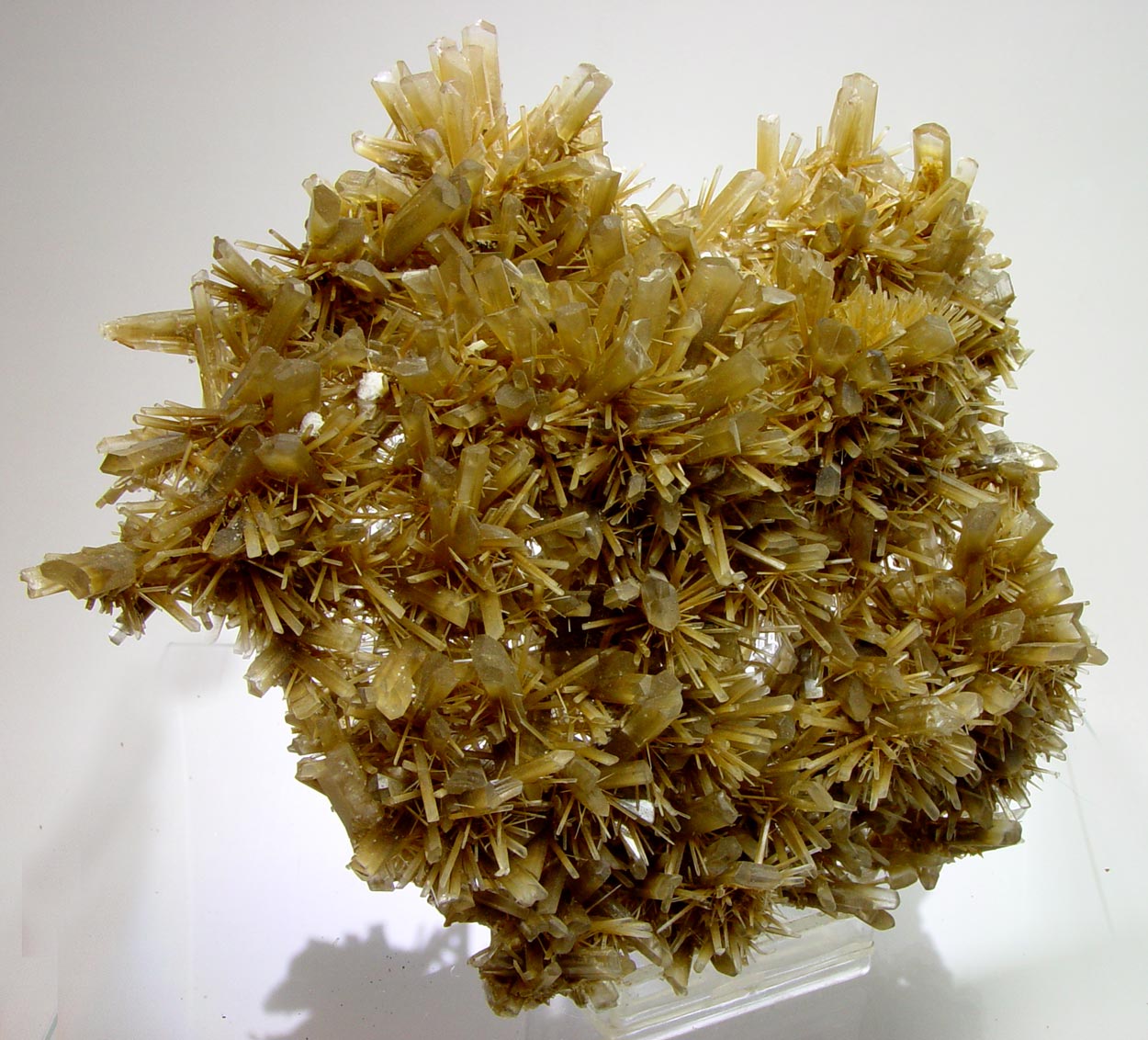 Gypsum