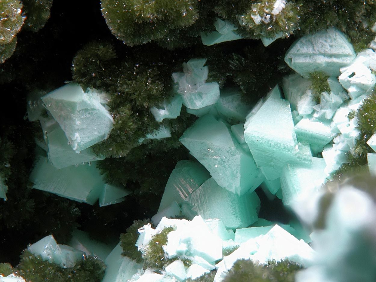 Cuprian Adamite On Olivenite