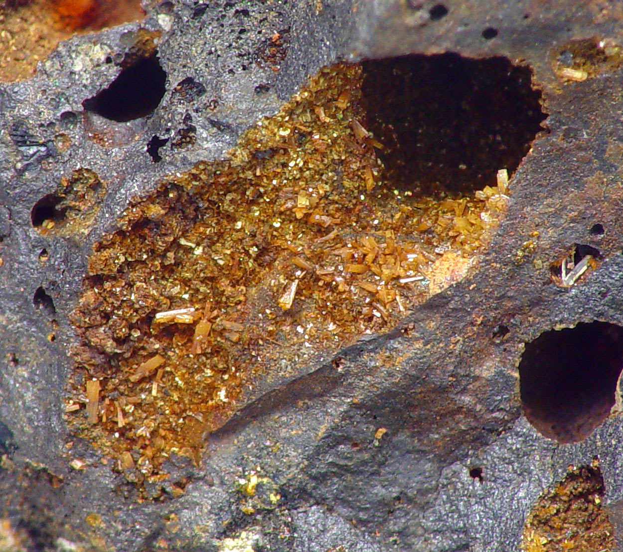 Nealite