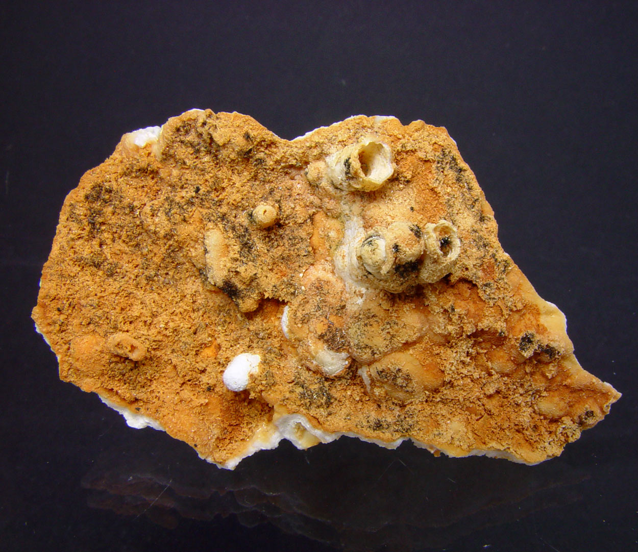 Plattnerite