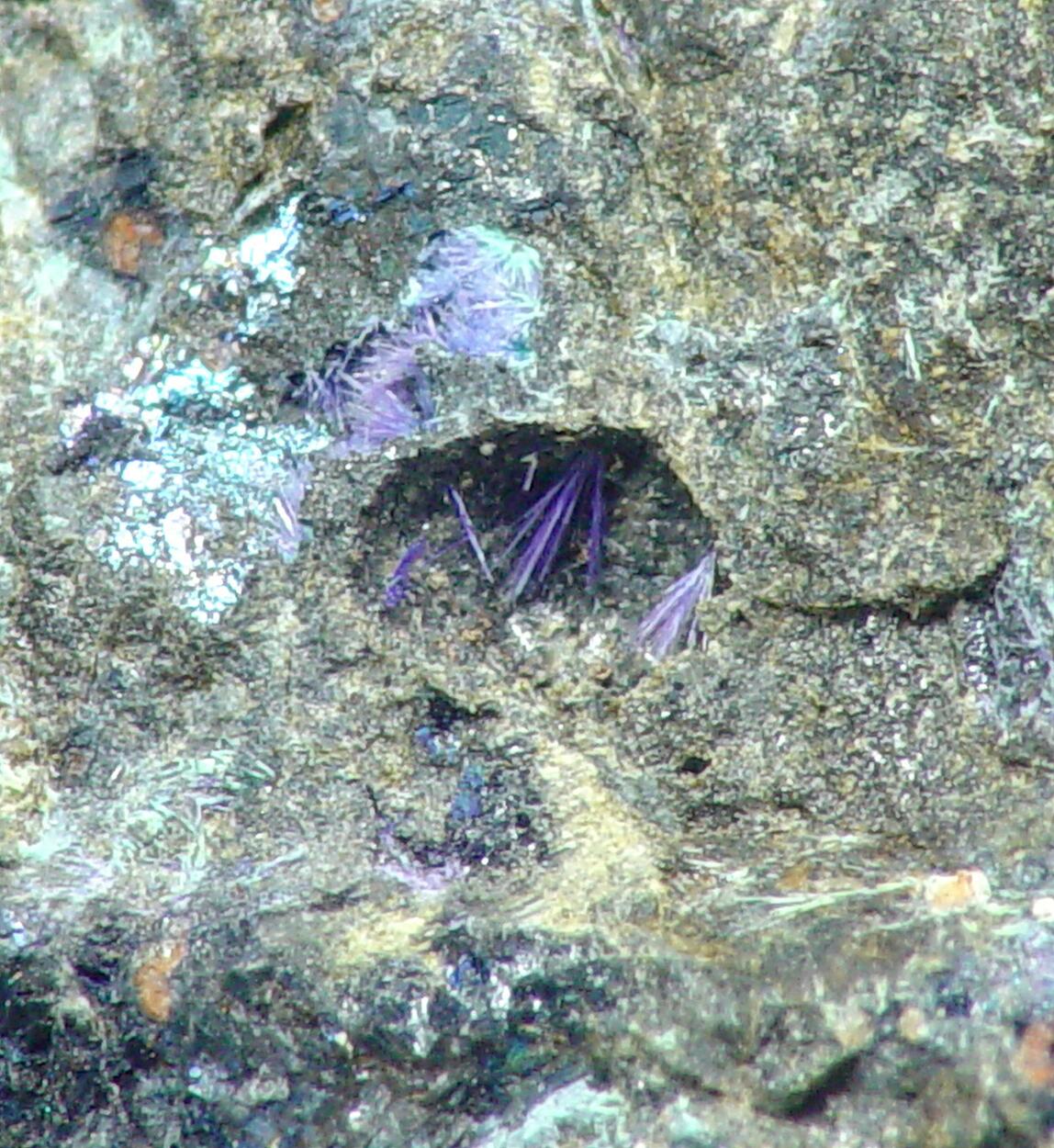Elyite
