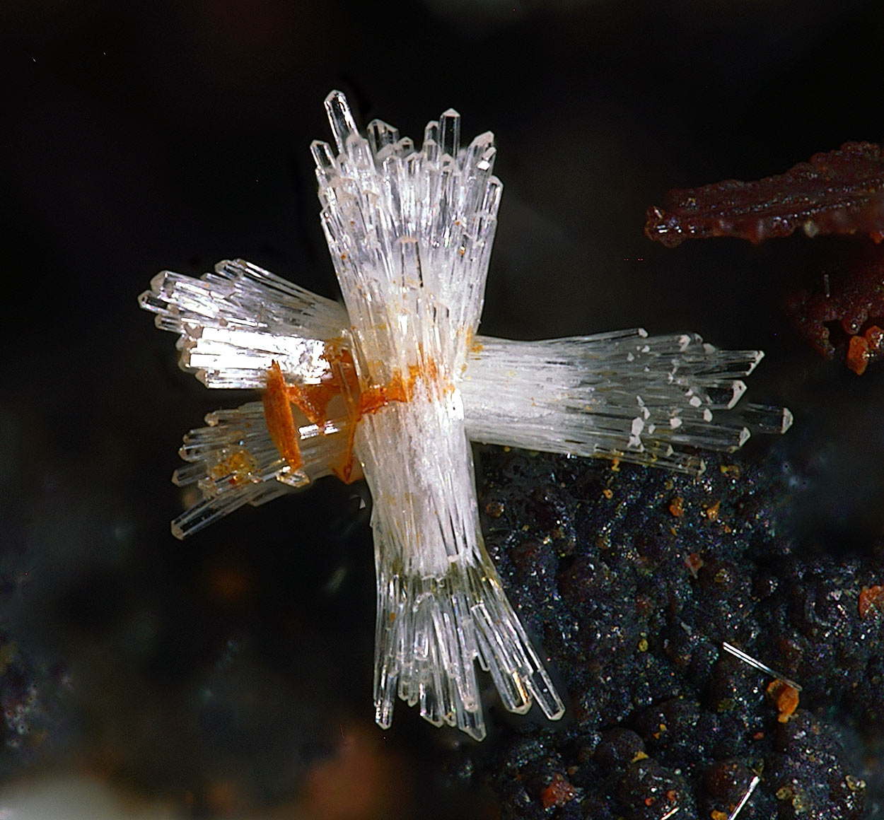 Phosphohedyphane