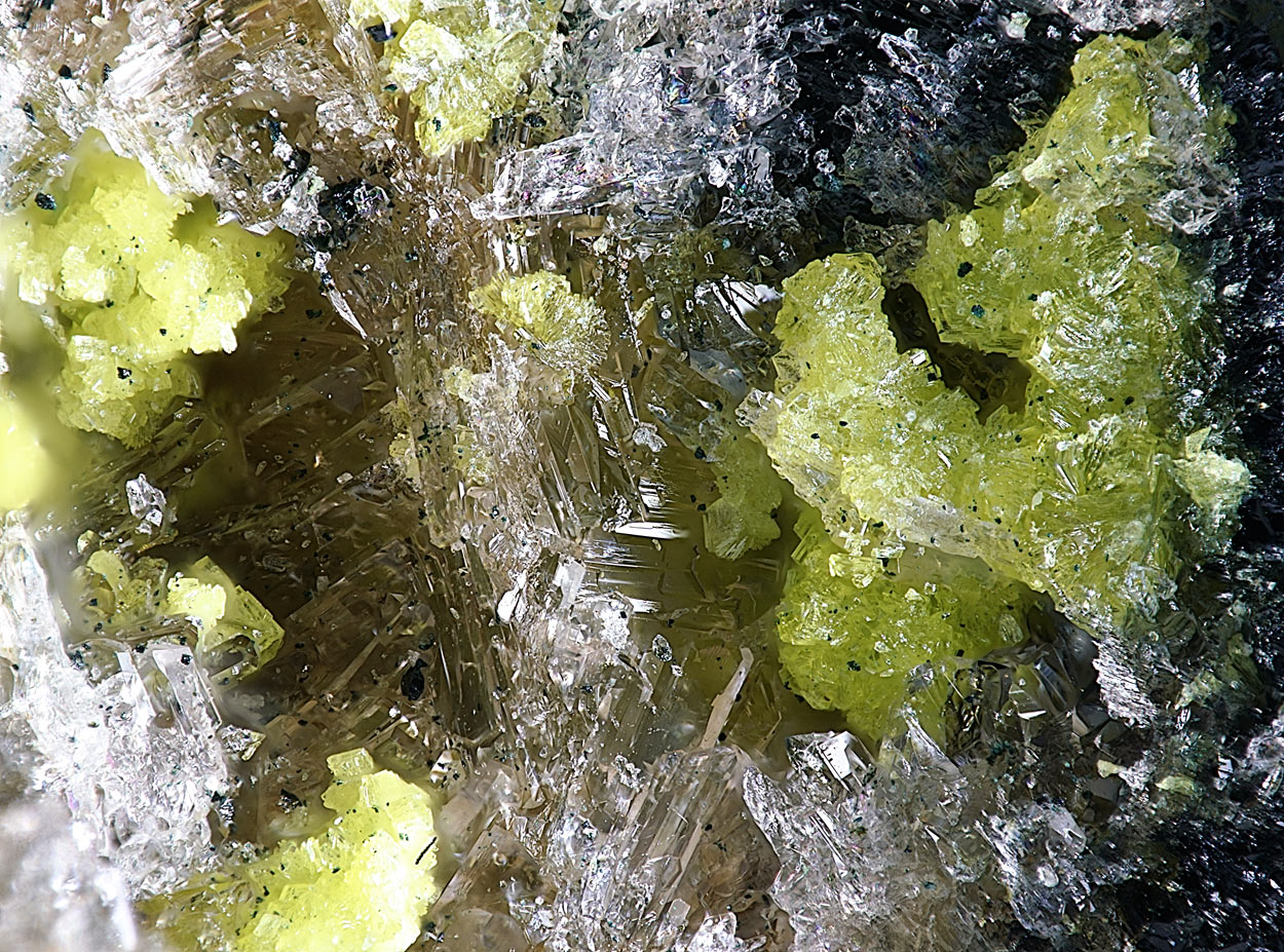Tavorite