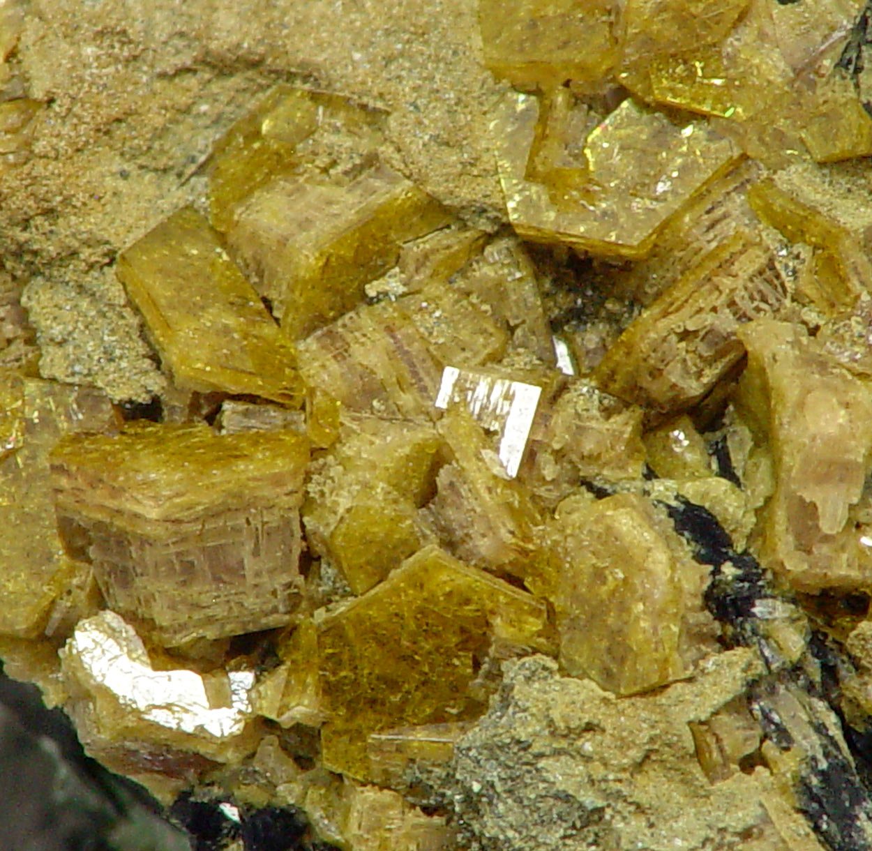Pyrosmalite-(Fe)