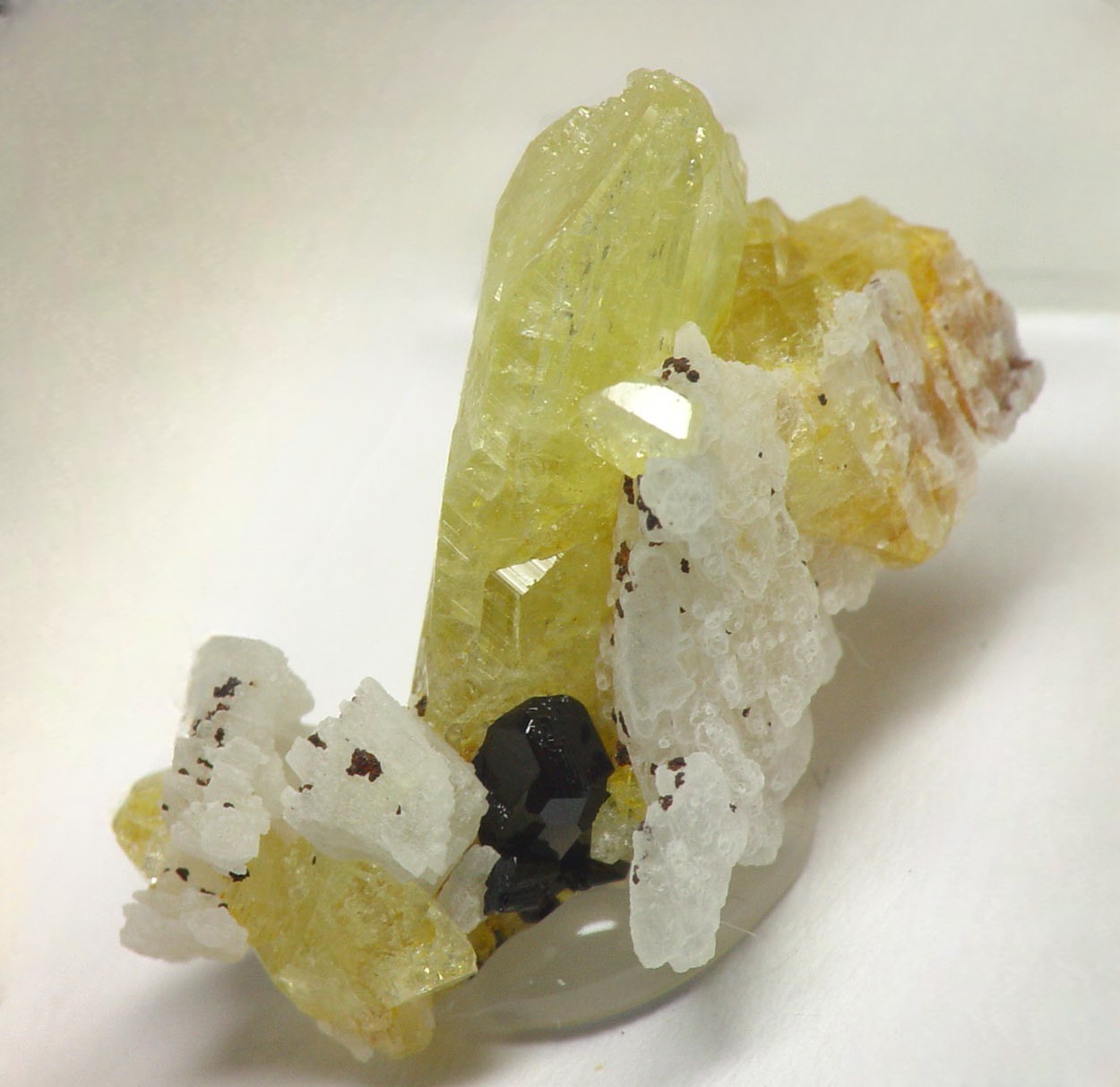 Tapiolite & Brazilianite