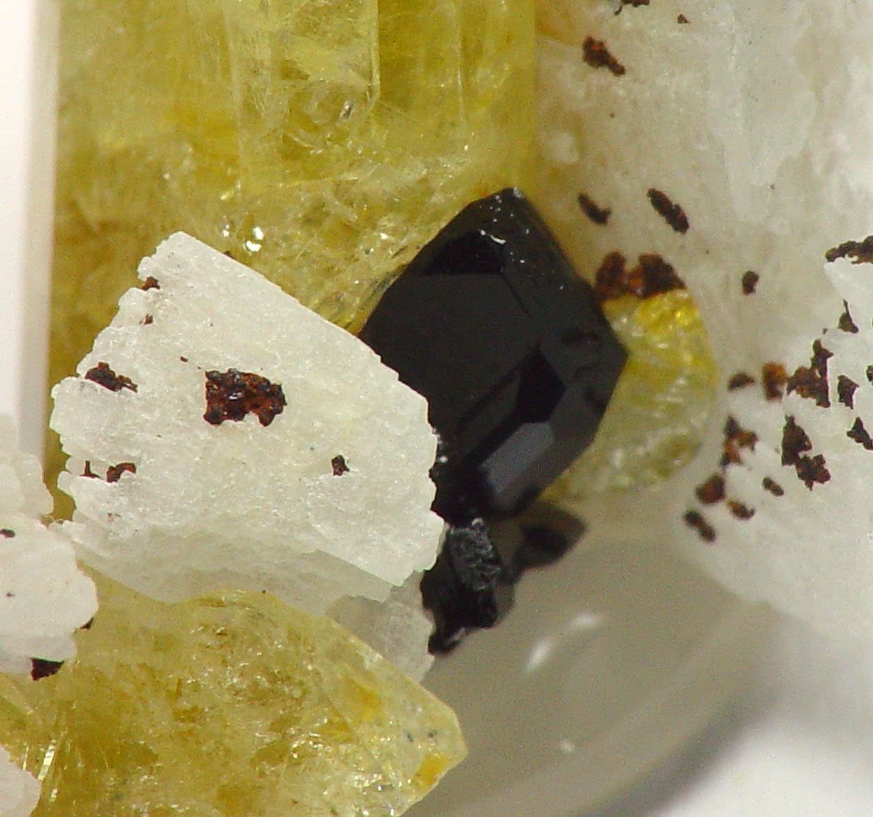 Tapiolite & Brazilianite