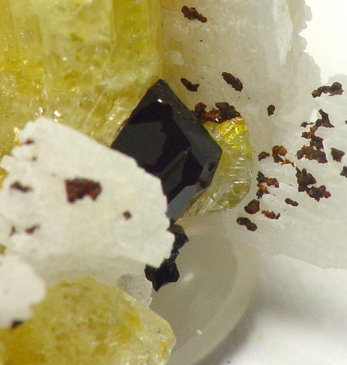 Tapiolite & Brazilianite