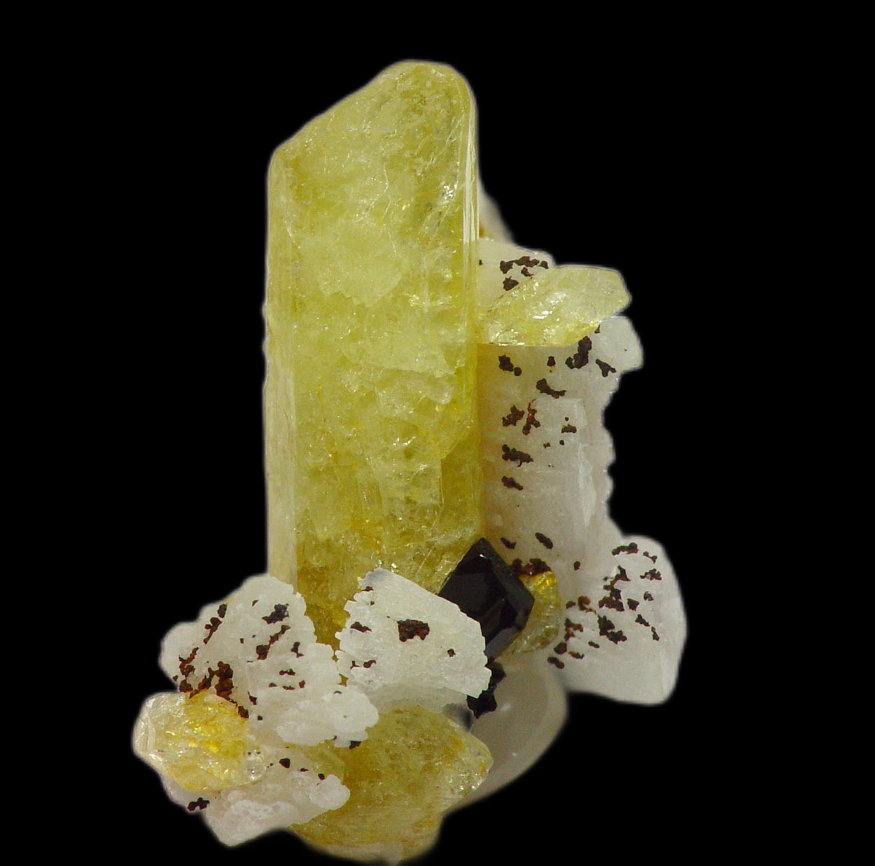 Tapiolite & Brazilianite