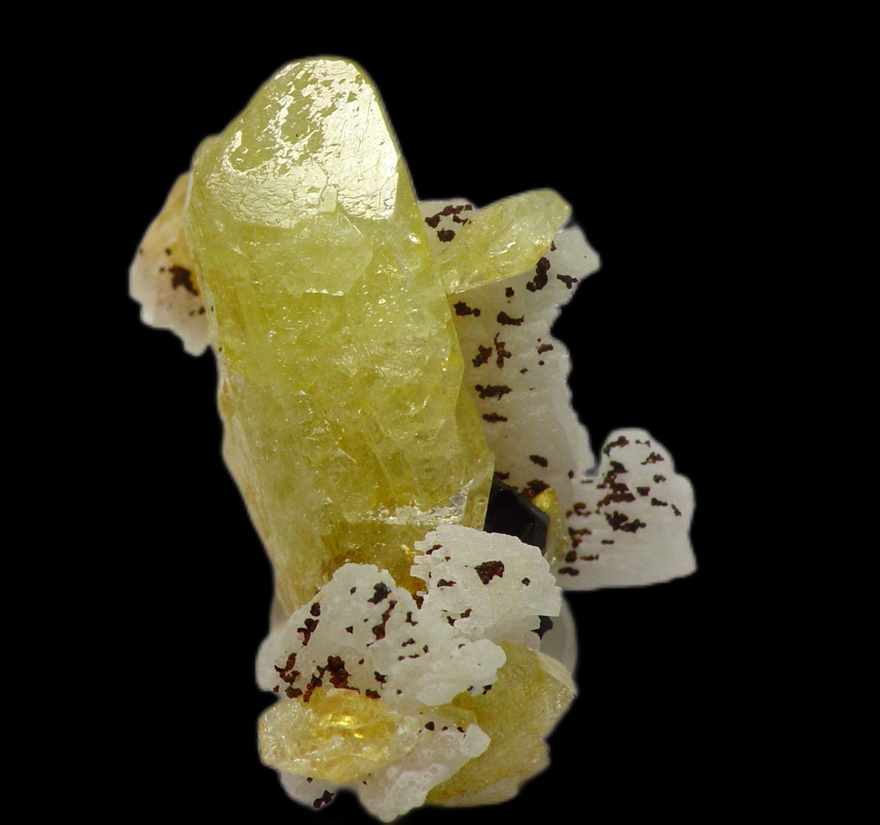 Tapiolite & Brazilianite