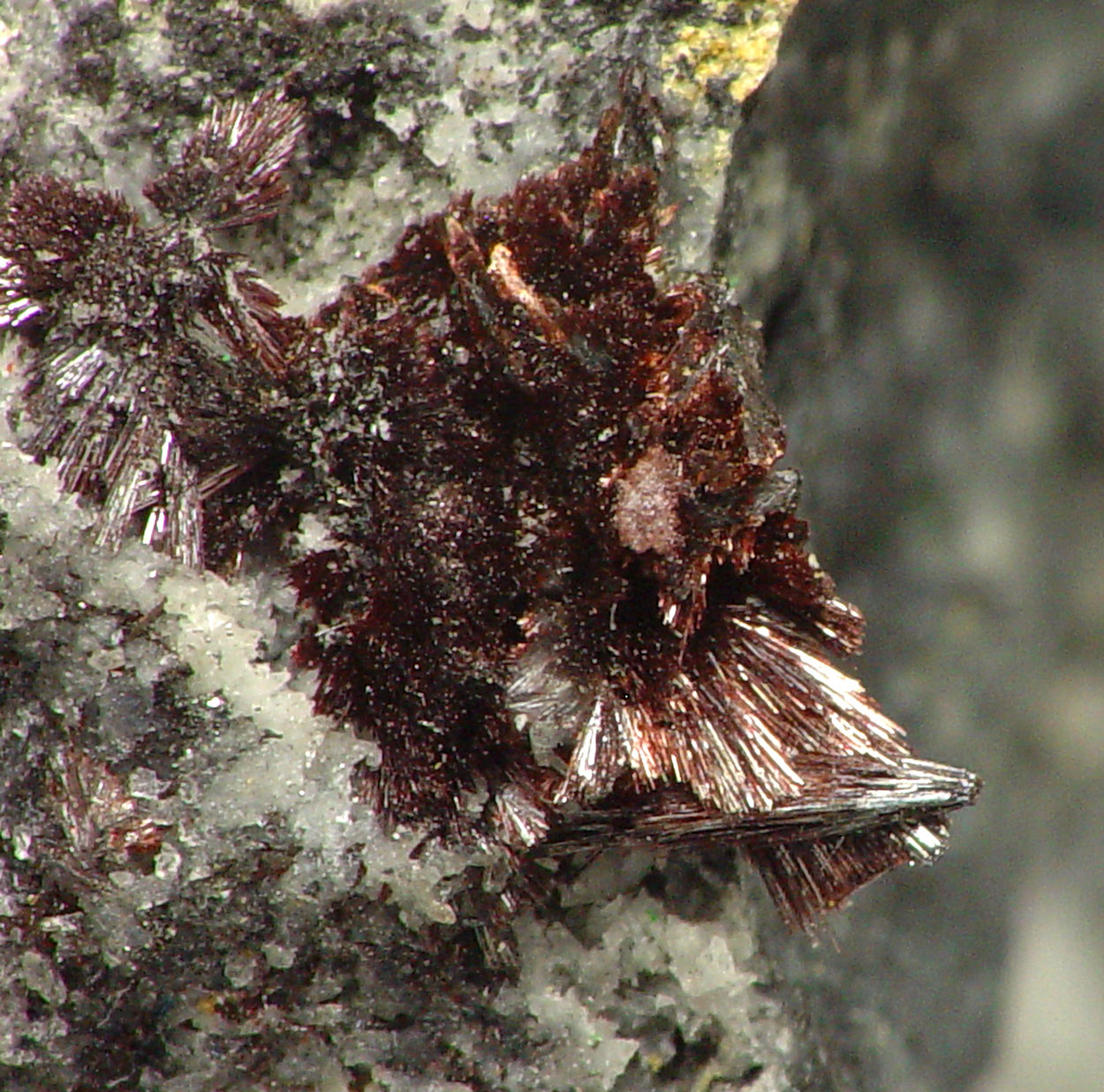 Kermesite