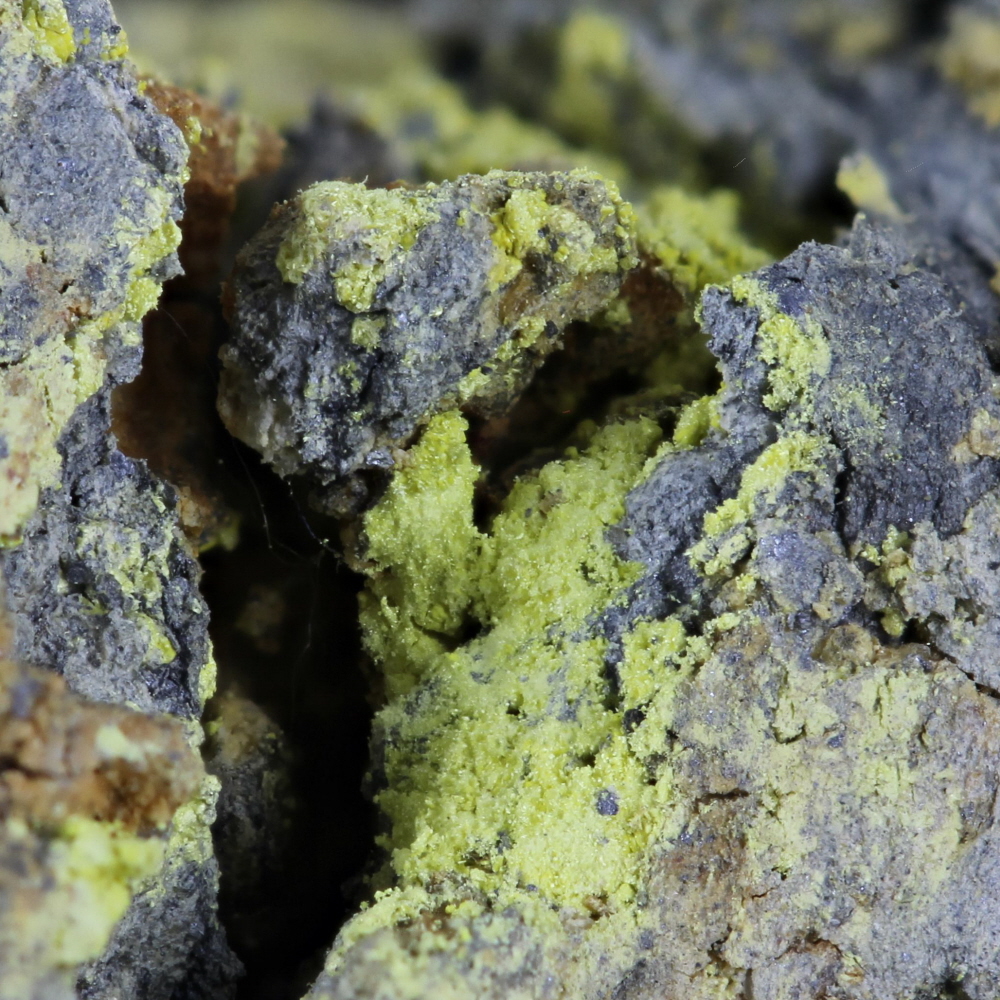 Ferrimolybdite