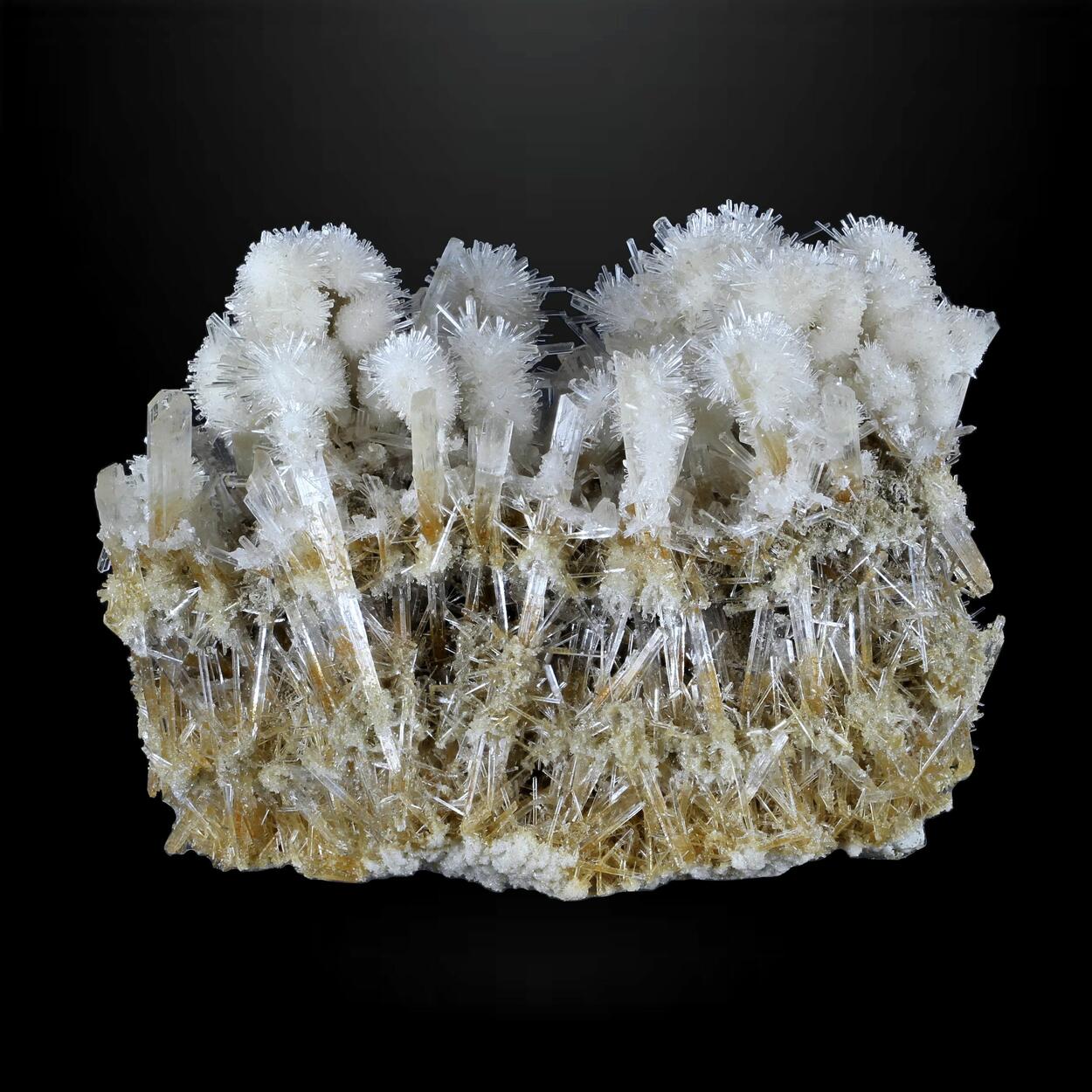 Gypsum Var Selenite