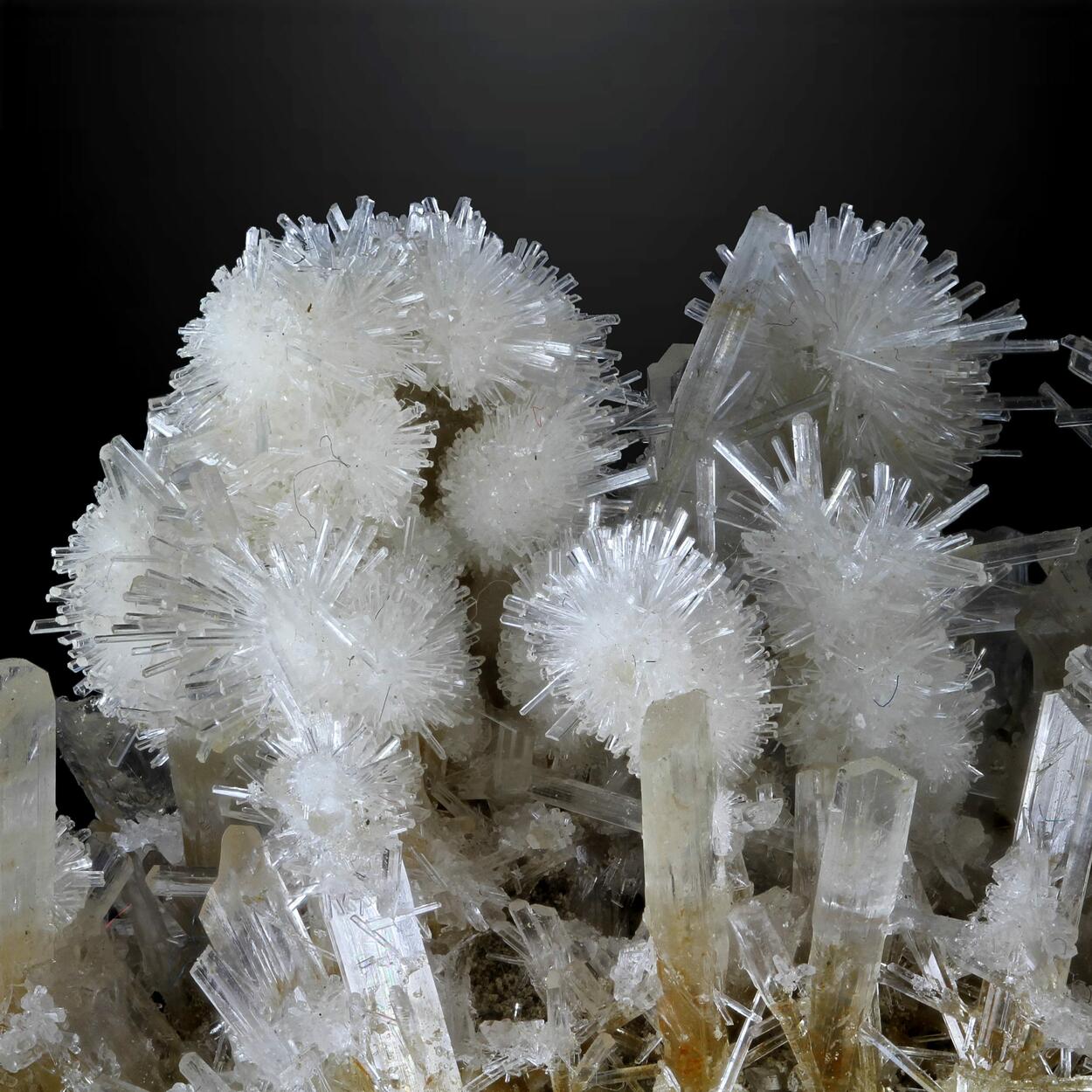 Gypsum Var Selenite