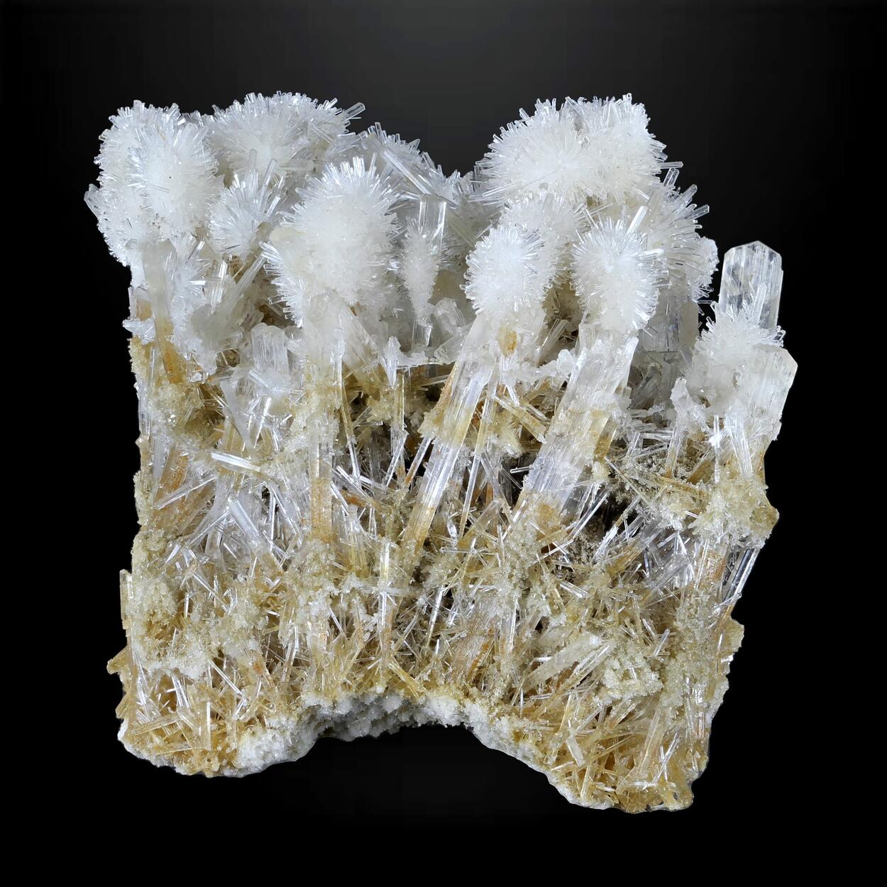 Gypsum Var Selenite