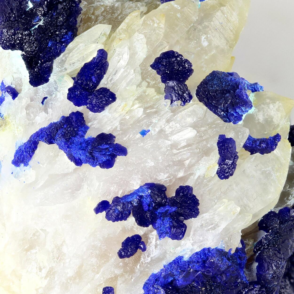 Azurite On Quartz
