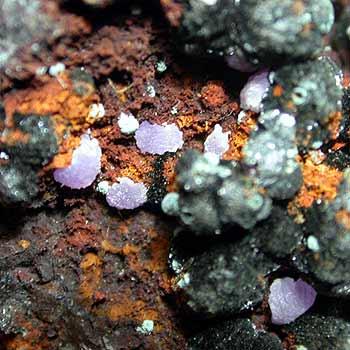 Barbosalite & Strengite