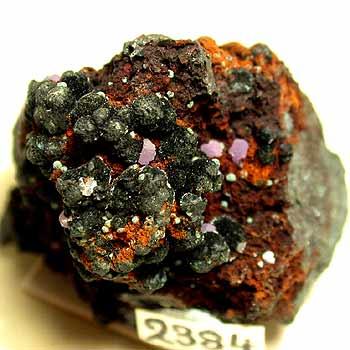 Barbosalite & Strengite