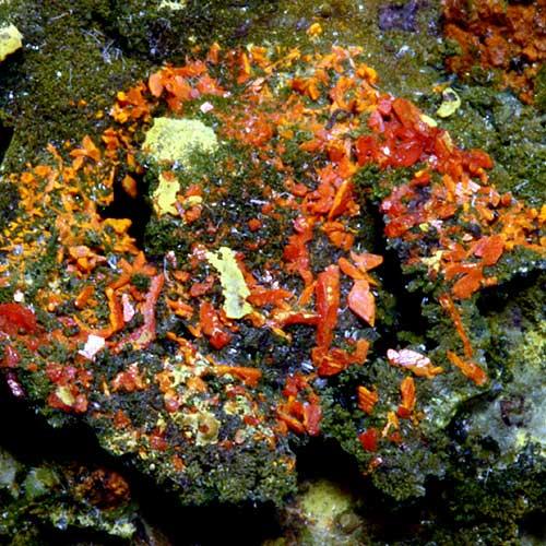 Pyromorphite & Crocoite