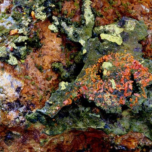 Pyromorphite & Crocoite