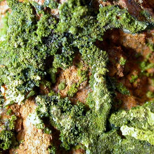 Pyromorphite & Crocoite