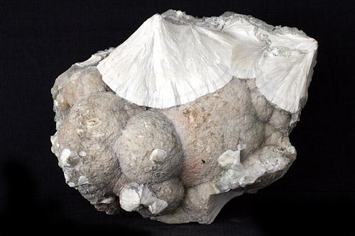 Pectolite With Stevensite