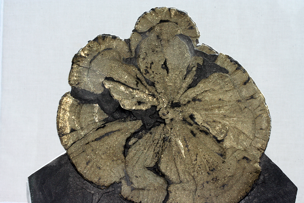 Pyrite