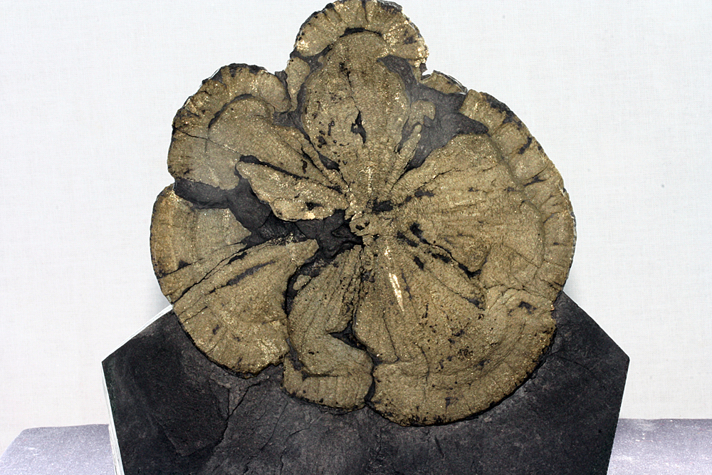 Pyrite