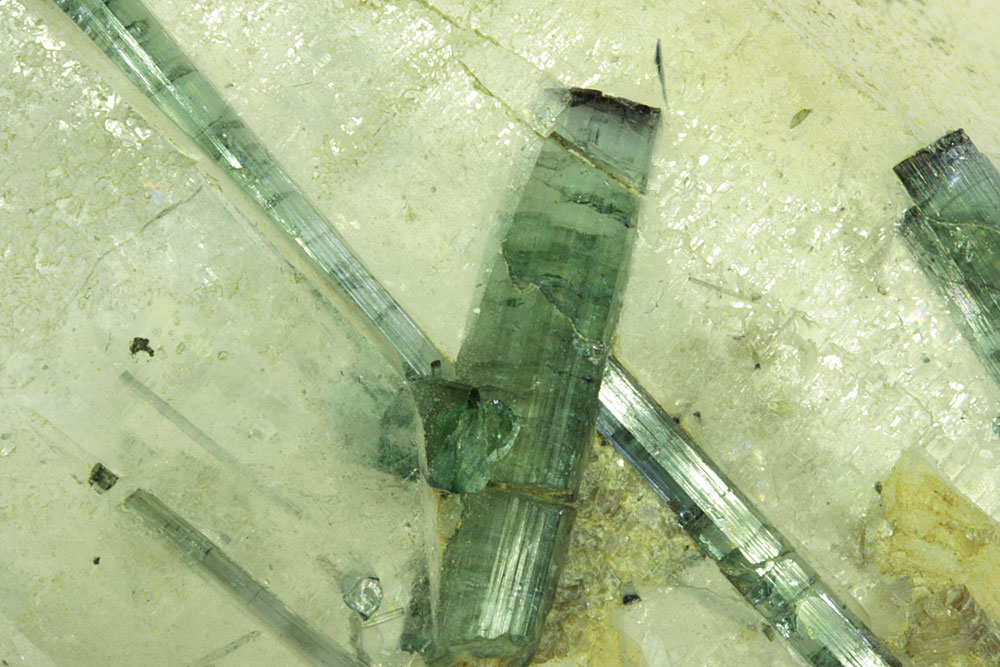 Elbaite On Quartz