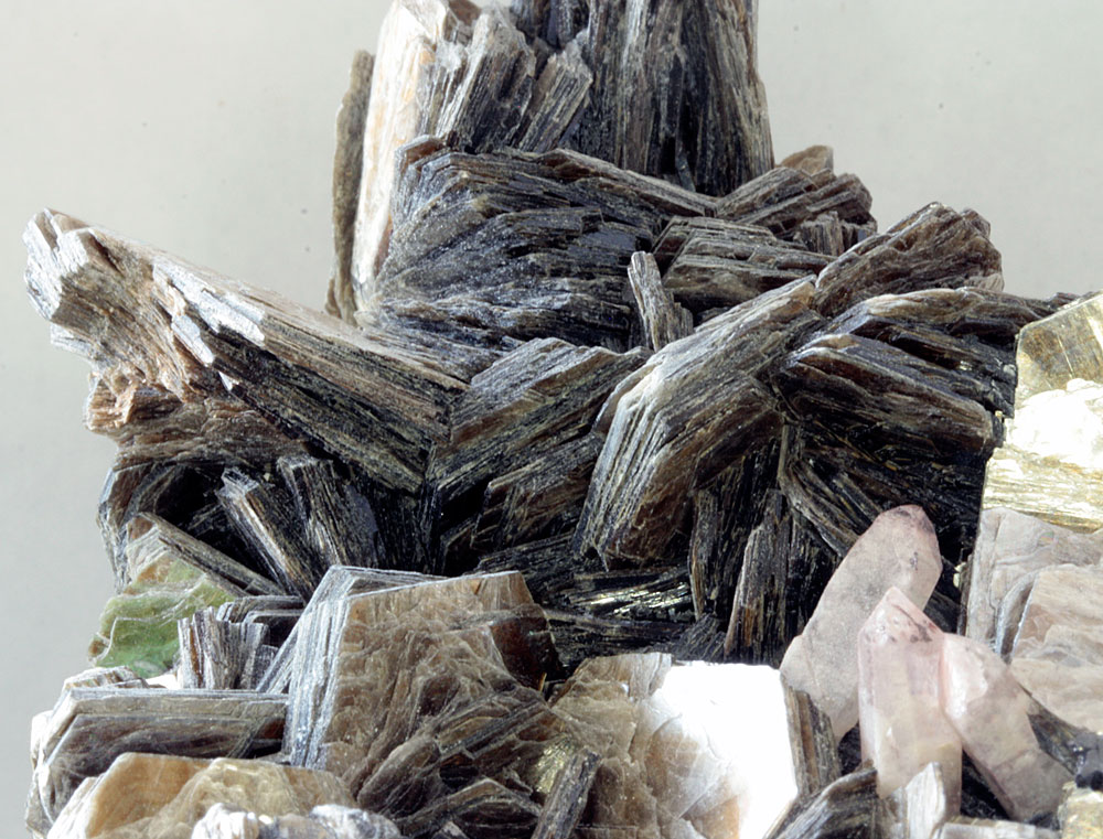 Muscovite