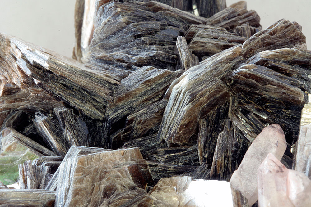 Muscovite